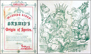 Illustration for article titled In the 1870s, Charles Darwin was the theme of a downright deranged Mardi Gras parade